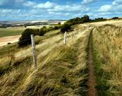 Wiltshire Downland