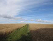 Walking Holidays in Wiltshire