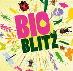 Bioblitz at Westonbirt Arboretum