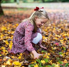 The Art of Autumn family trail at Westonbirt Arboretum