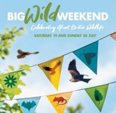 Big Wild Weekend