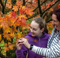 Drawn to Nature Autumn Trail - all ages