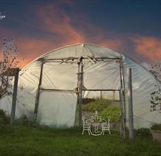 From Tunnel to Table