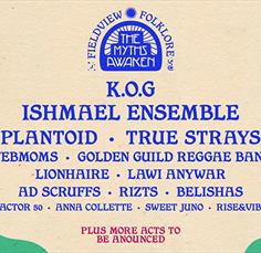 Fieldview Festival