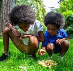 Fabulous Fungi Discovery Day - family activity