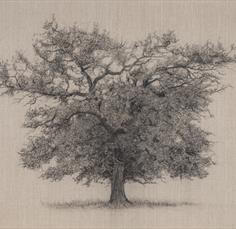 Clare Duguid Solo Exhibition