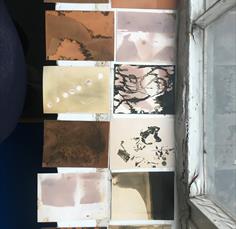 Eco-photography workshops with the Sustainable Darkroom