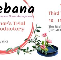 Discover the Art of Ikebana: Trial ＆Introductory Course