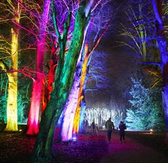 Christmas at Westonbirt