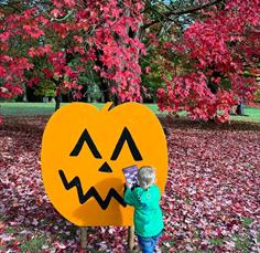 Autumn Adventure at Bowood