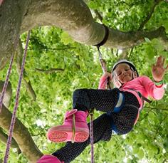 Big Tree Climb organised by The Great Big Tree Climbing Company