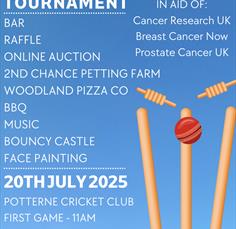 Potterne CC Charity Triangular T20