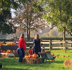 Harvest on the Farm