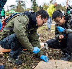 Community Woodland Public Volunteering Day - Westonbirt