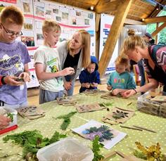 Woodland Webs – family activity days