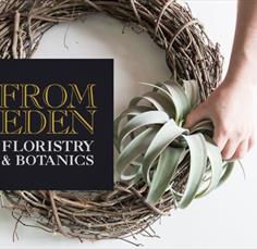 Air Plant Wreath