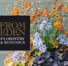 Outdoor Planted Containers