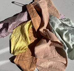 Botanical Dyes Workshop