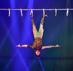 Circus Extreme