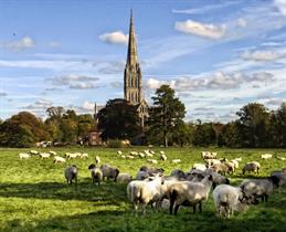 3 Days Exploring South Wiltshire: History, Culture & Beautiful Landscapes