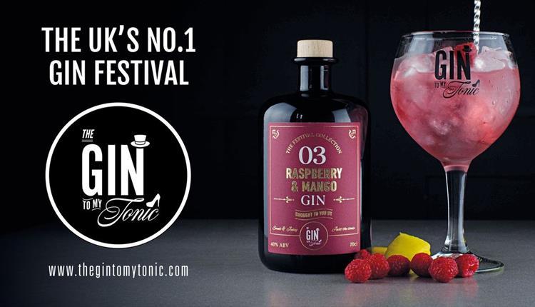 The Gin To My Tonic Gin, Rum and Vodka Festival Salisbury.