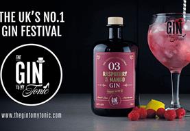 The Gin To My Tonic Gin, Rum and Vodka Festival Salisbury.