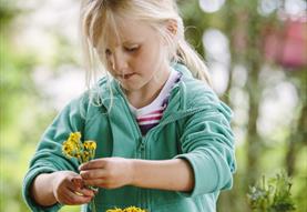 Make a Mother's Day flower posy at Stourhead