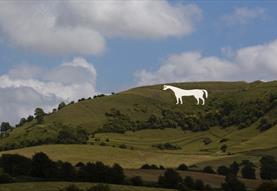 Westbury White Horse Summer Wiltshire
