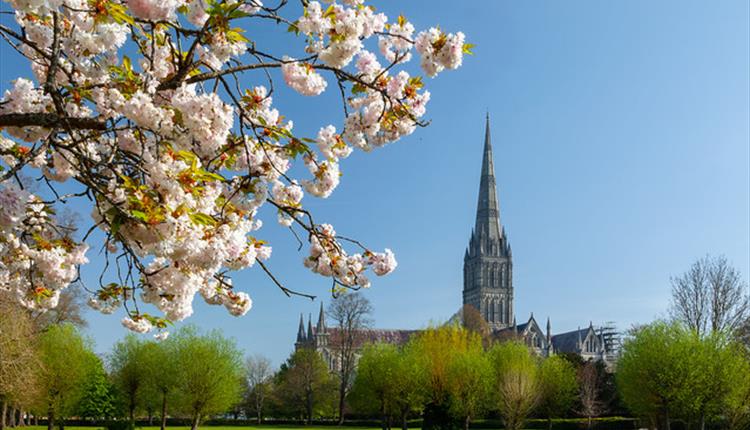 Threads through Creation - Salisbury Cathedral