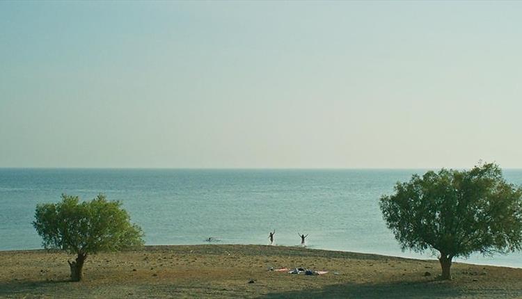 FILM: Window to the Sea