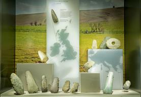 Neolithic Axe Display