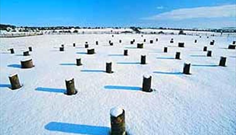 Woodhenge, Amesbury