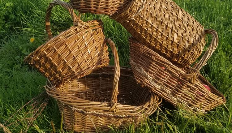 Willow Trug Making