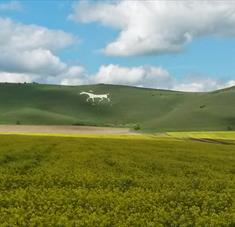Alton Barnes White Horse, near Pewsey