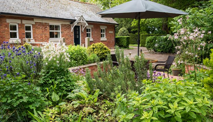 Copse Cottage - garden 
