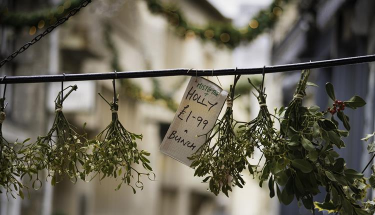 Bradford on Avon Christmas Switch On