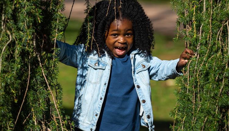 Camouflaged Creatures at Westonbirt Camouflaged Creatures at Westonbirt
