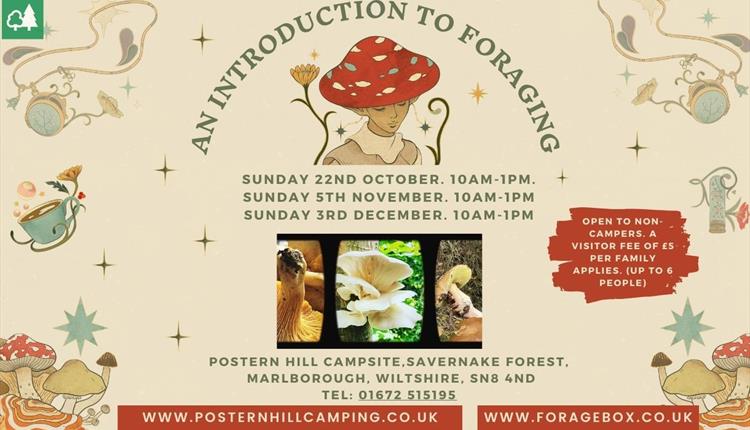 Introduction to Autumn Foraging -Workshop and Walk in Marlborough Introduction to Autumn Foraging -Workshop and Walk in Marlborough