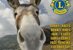 Donkey Derby, Westbury