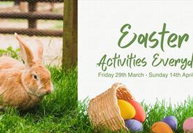 Easter Fun at Fairfield Animal Centre
