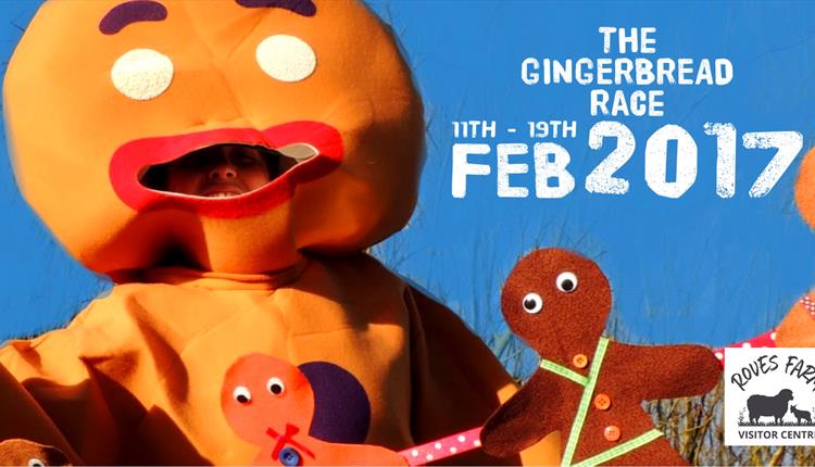 The Gingerbread Race