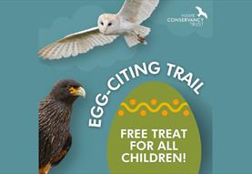 Easter at Hawk Conservancy Trust