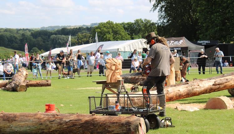Wiltshire Game & Country Fair