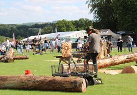 Wiltshire Game & Country Fair