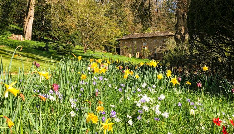 Iford Manor Gardens: "Rares and Spares" Plant Sale