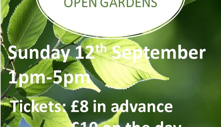 Marlborough Open Gardens