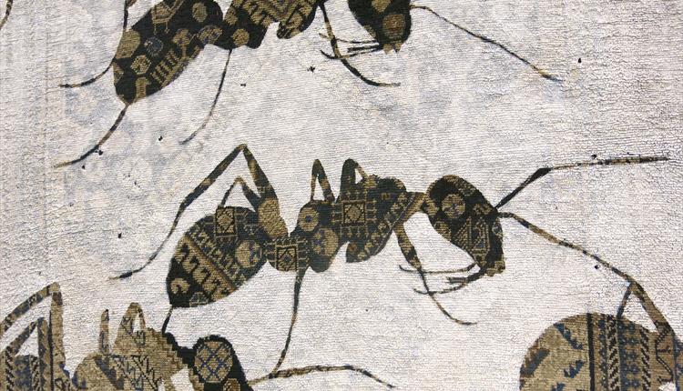 Insect Odyssey: Insects, Books and the Artistic Imagination