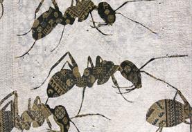 Insect Odyssey: Insects, Books and the Artistic Imagination