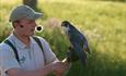 James and Raj the Peregrine Falcon at the Hawk Conservancy Trust