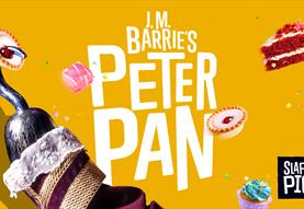 Peter Pan by JM Barries
